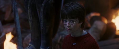 PF-Potterish_10492.jpg