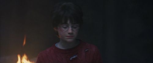 PF-Potterish_10726.jpg