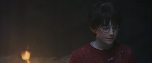 PF-Potterish_10727.jpg