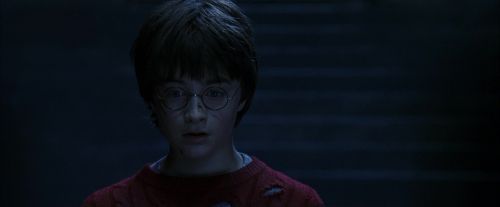 PF-Potterish_11043.jpg