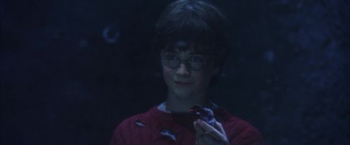 PF-Potterish_11047.jpg