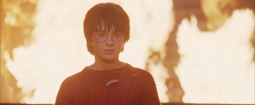PF-Potterish_11195.jpg