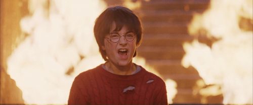 PF-Potterish_11197.jpg