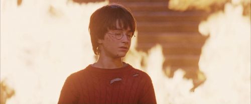 PF-Potterish_11216.jpg