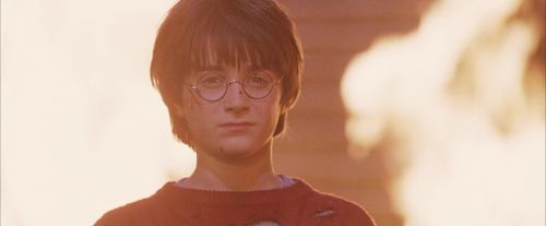 Click to view full size image
==============
PF-Potterish_11231.jpg PF-Potterish_11231.jpg