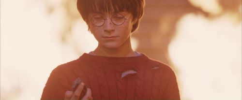 PF-Potterish_11246.jpg