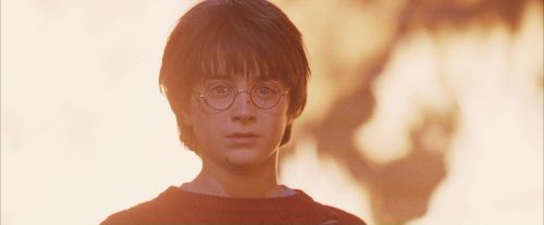 Click to view full size image
==============
PF-Potterish_11248.jpg PF-Potterish_11248.jpg