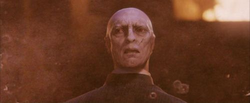 PF-Potterish_11274.jpg