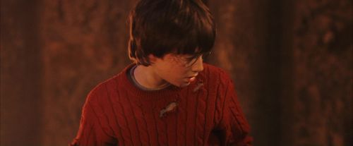 PF-Potterish_11372.jpg