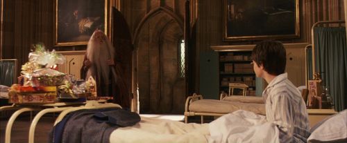 PF-Potterish_11478.jpg