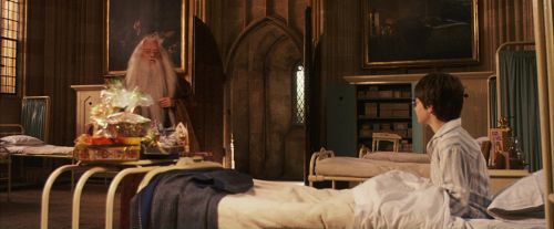 PF-Potterish_11480.jpg