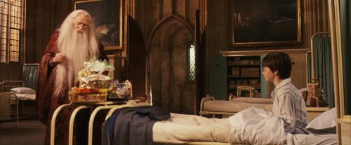 PF-Potterish_11483.jpg