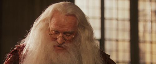 PF-Potterish_11509.jpg
