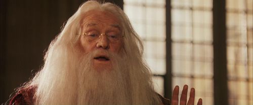 PF-Potterish_11524.jpg