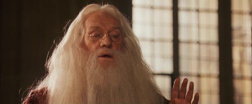 PF-Potterish_11535.jpg