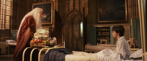 PF-Potterish_11544.jpg