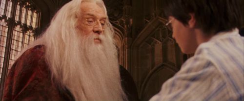 PF-Potterish_11567.jpg
