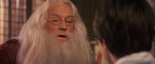 PF-Potterish_11583.jpg