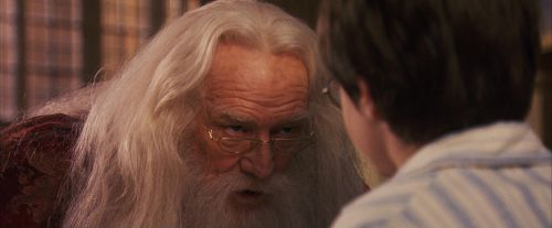 PF-Potterish_11603.jpg