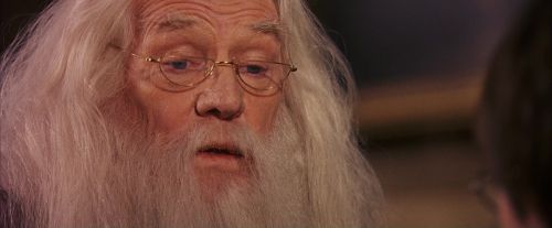 PF-Potterish_11629.jpg