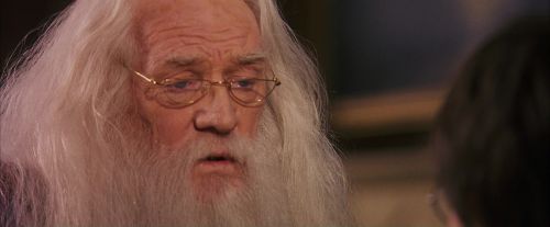PF-Potterish_11653.jpg
