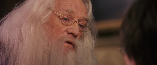 PF-Potterish_11664.jpg