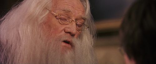 PF-Potterish_11665.jpg