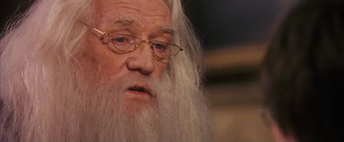 PF-Potterish_11666.jpg