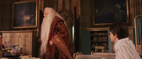 PF-Potterish_11687.jpg