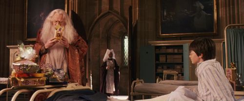 PF-Potterish_11695.jpg