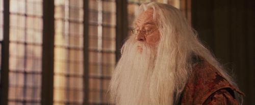 PF-Potterish_11718.jpg
