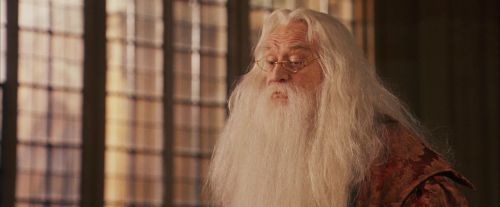 Click to view full size image
==============
PF-Potterish_11720.jpg PF-Potterish_11720.jpg