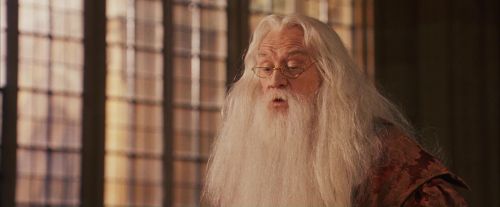 PF-Potterish_11723.jpg