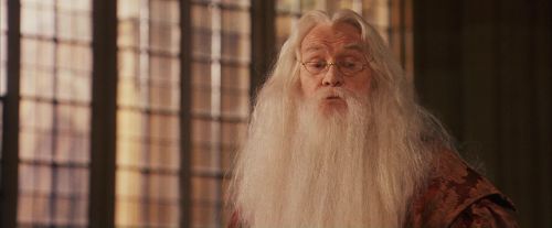 PF-Potterish_11724.jpg