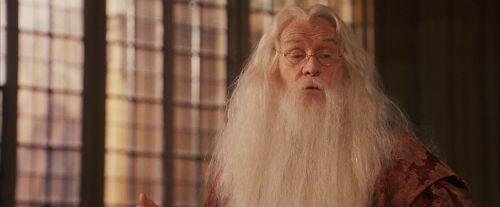 PF-Potterish_11725.jpg