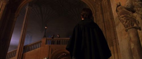 PF-Potterish_11738.jpg
