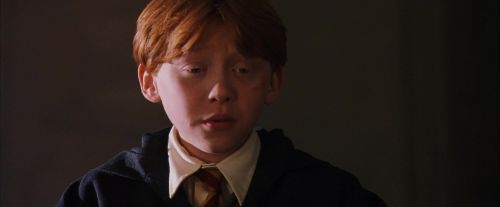 PF-Potterish_11753.jpg