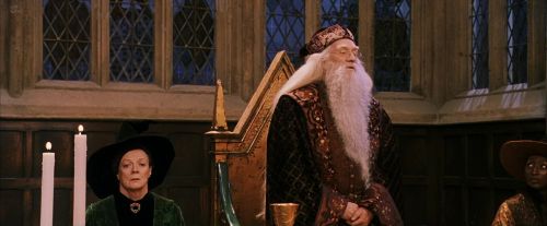 PF-Potterish_11829.jpg