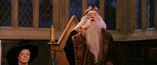 PF-Potterish_11877.jpg
