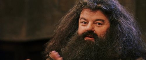 PF-Potterish_11919.jpg