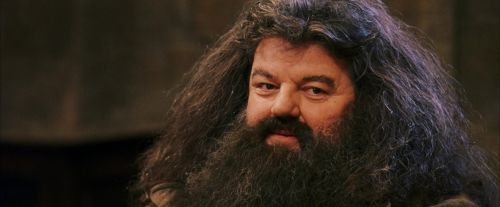 Click to view full size image
==============
PF-Potterish_11921.jpg PF-Potterish_11921.jpg