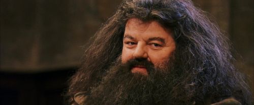 PF-Potterish_11922.jpg