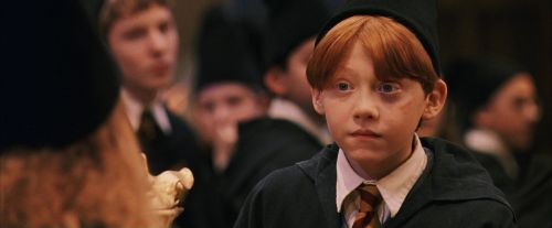 PF-Potterish_11929.jpg