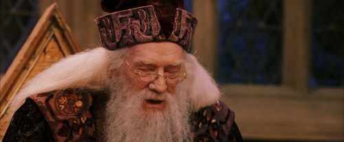 PF-Potterish_11961.jpg