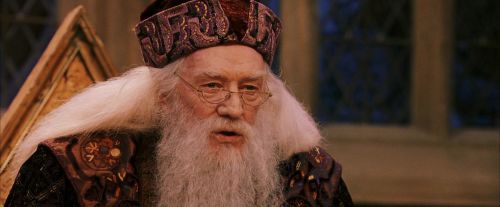 PF-Potterish_11962.jpg