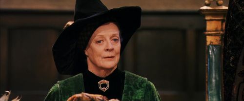 PF-Potterish_11995.jpg