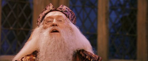 PF-Potterish_12029.jpg