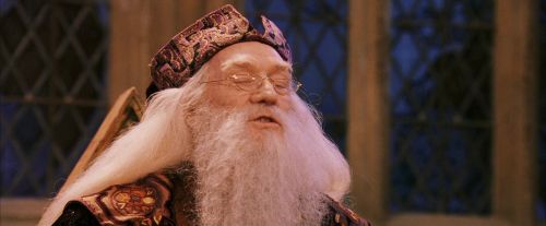 PF-Potterish_12031.jpg