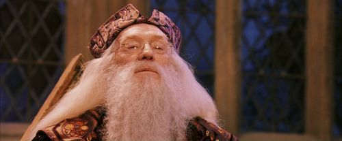 PF-Potterish_12035.jpg