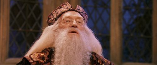 PF-Potterish_12047.jpg